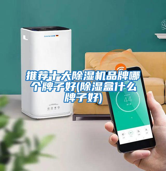 推薦十大除濕機品牌哪個(gè)牌子好(除濕盒什么牌子好)