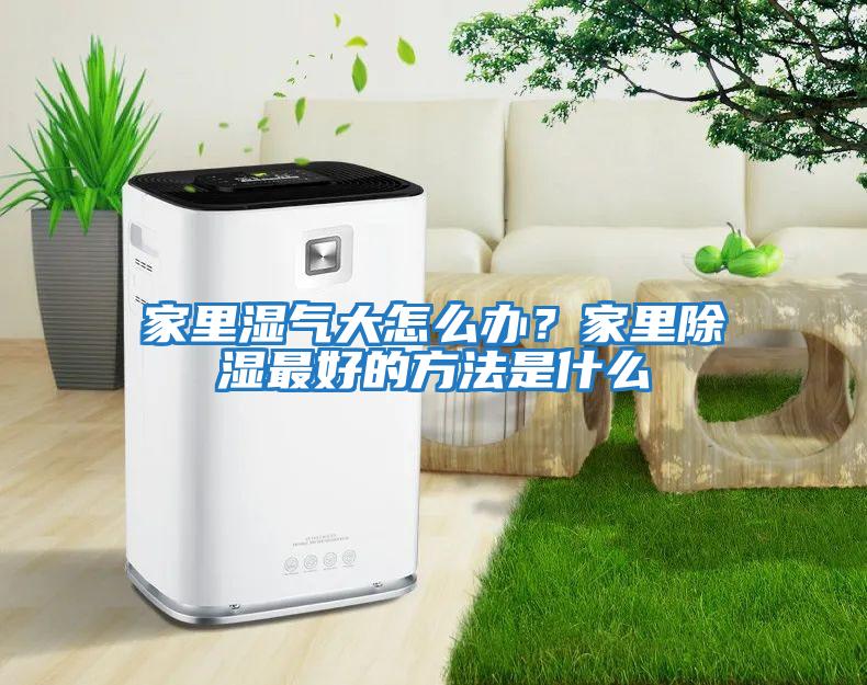 家里濕氣大怎么辦？家里除濕最好的方法是什么