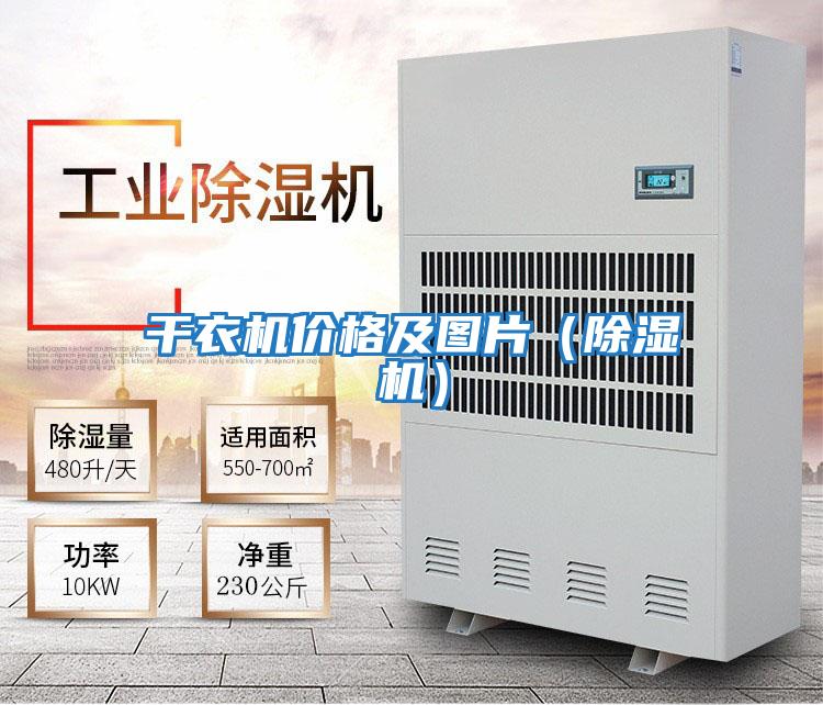 干衣機價(jià)格及圖片（除濕機）