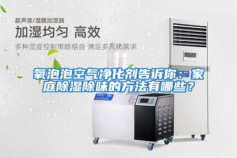 氧泡泡空氣凈化劑告訴你：家庭除濕除味的方法有哪些？
