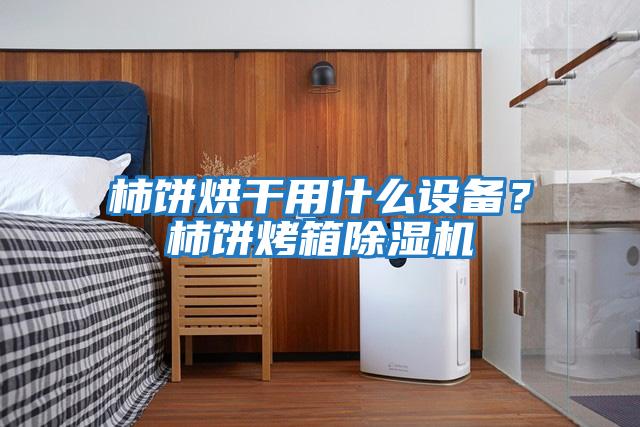 柿餅烘干用什么設備？柿餅烤箱除濕機