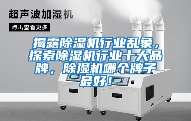 揭露除濕機行業(yè)亂象，探索除濕機行業(yè)十大品牌，除濕機哪個(gè)牌子最好！
