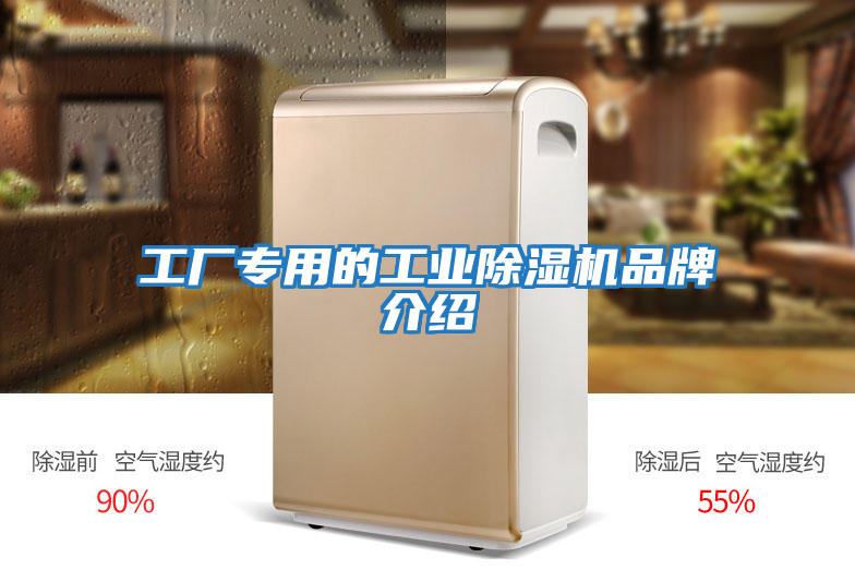 工廠(chǎng)專(zhuān)用的工業(yè)除濕機品牌介紹