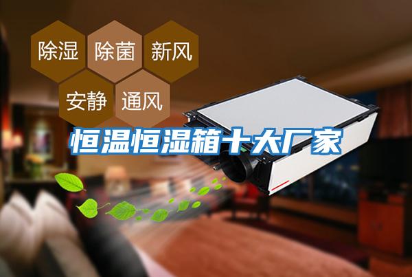 恒溫恒濕箱十大廠(chǎng)家