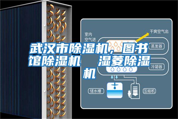 武漢市除濕機，圖書(shū)館除濕機  濕菱除濕機