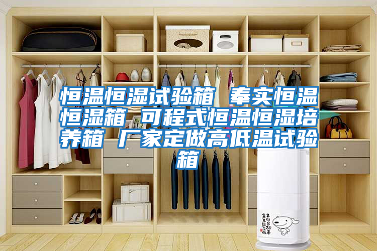 恒溫恒濕試驗箱 奉實(shí)恒溫恒濕箱 可程式恒溫恒濕培養箱 廠(chǎng)家定做高低溫試驗箱