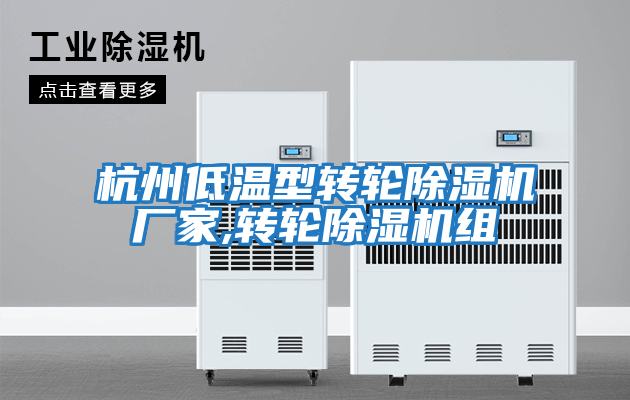 杭州低溫型轉輪除濕機廠(chǎng)家,轉輪除濕機組
