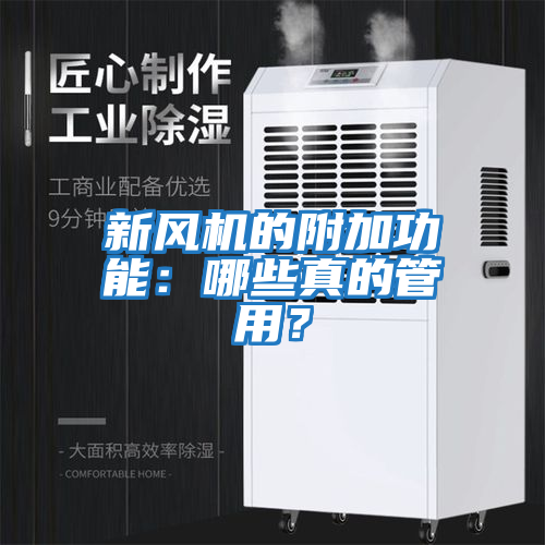 新風(fēng)機的附加功能：哪些真的管用？