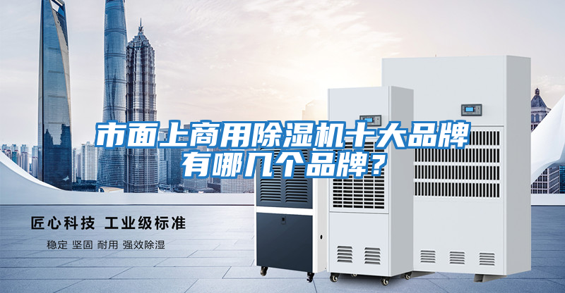 市面上商用除濕機十大品牌有哪幾個(gè)品牌？