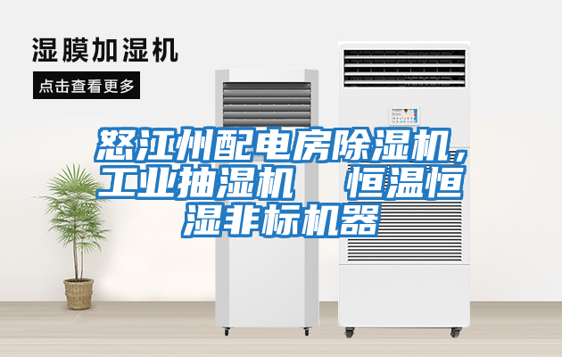 怒江州配電房除濕機，工業(yè)抽濕機  恒溫恒濕非標機器