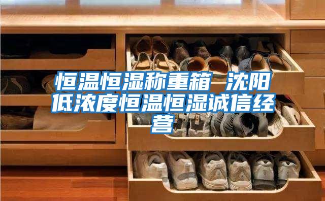 恒溫恒濕稱(chēng)重箱 沈陽(yáng)低濃度恒溫恒濕誠信經(jīng)營(yíng)