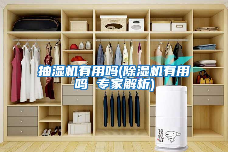 抽濕機有用嗎(除濕機有用嗎 專(zhuān)家解析)