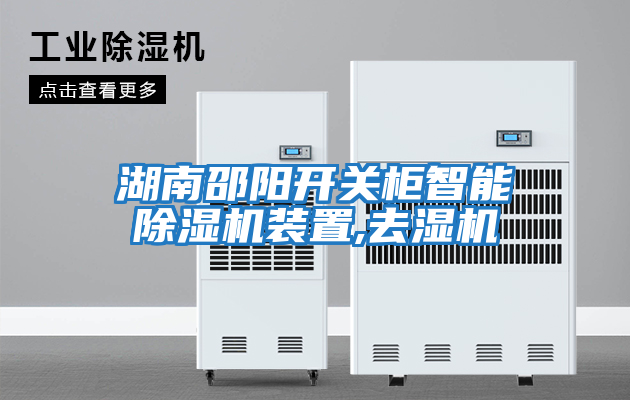 湖南邵陽(yáng)開(kāi)關(guān)柜智能除濕機裝置,去濕機