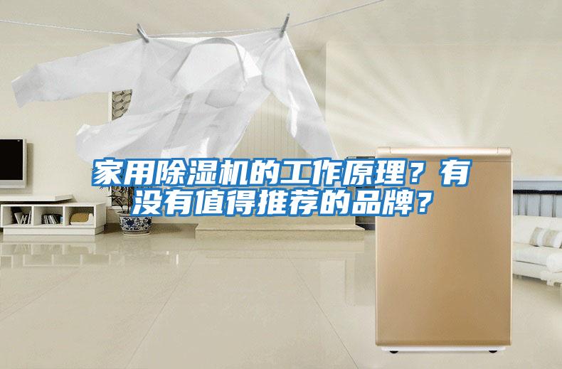 家用除濕機的工作原理？有沒(méi)有值得推薦的品牌？