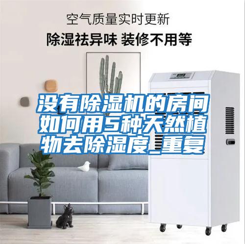 沒(méi)有除濕機的房間如何用5種天然植物去除濕度_重復