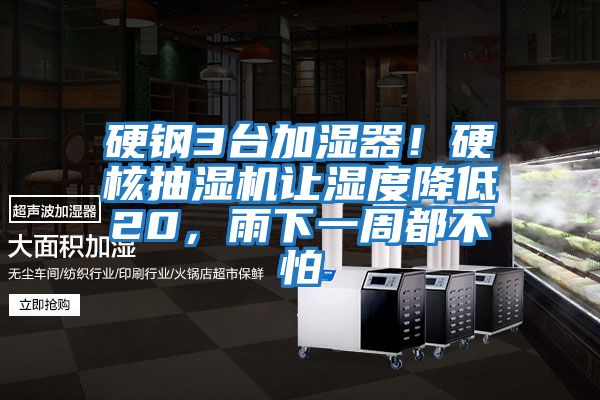 硬鋼3臺加濕器！硬核抽濕機讓濕度降低20，雨下一周都不怕