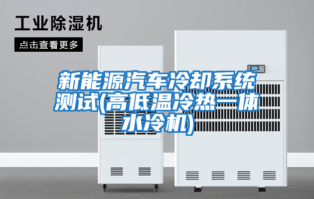 新能源汽車(chē)冷卻系統測試(高低溫冷熱一體水冷機)