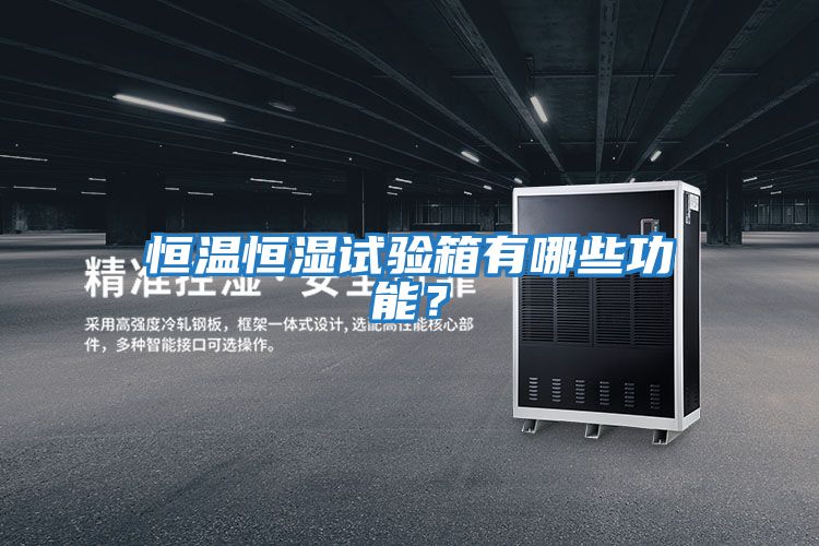 恒溫恒濕試驗箱有哪些功能？