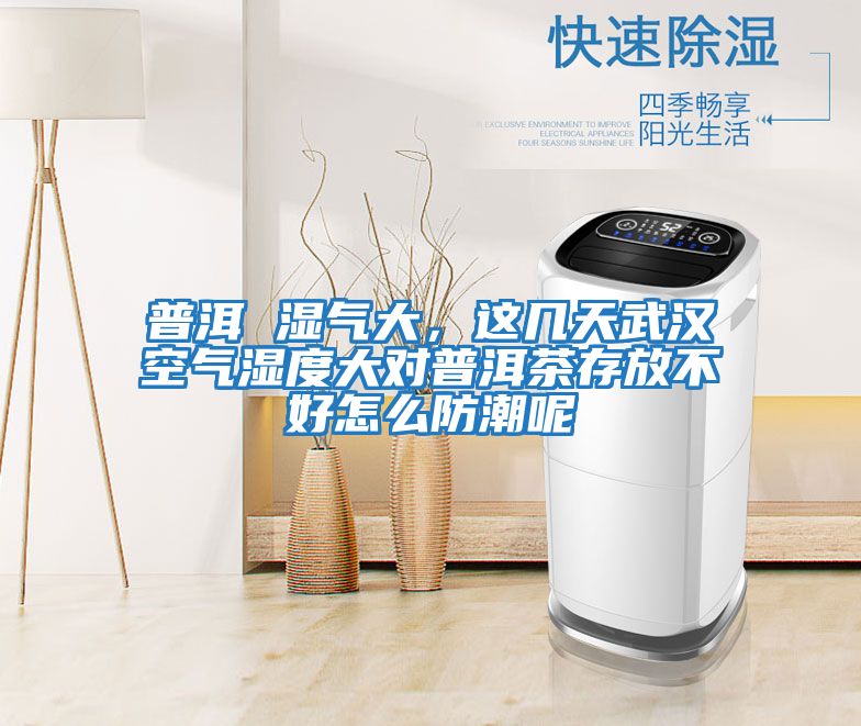 普洱 濕氣大，這幾天武漢空氣濕度大對普洱茶存放不好怎么防潮呢