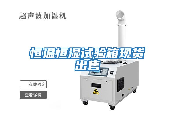 恒溫恒濕試驗箱現貨出售
