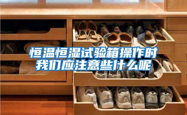 恒溫恒濕試驗箱操作時(shí)我們應注意些什么呢