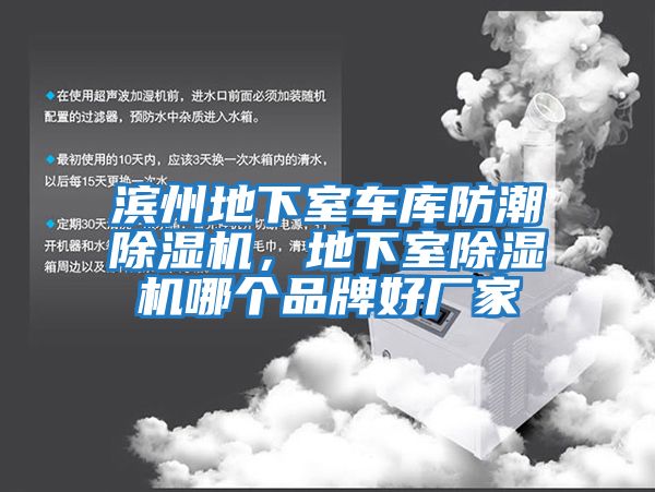 濱州地下室車(chē)庫防潮除濕機，地下室除濕機哪個(gè)品牌好廠(chǎng)家