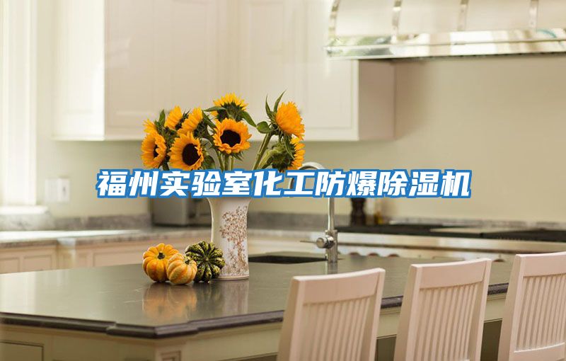 福州實(shí)驗室化工防爆除濕機