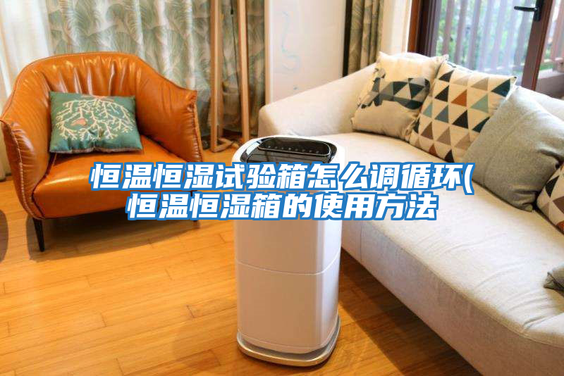 恒溫恒濕試驗箱怎么調循環(huán)(恒溫恒濕箱的使用方法