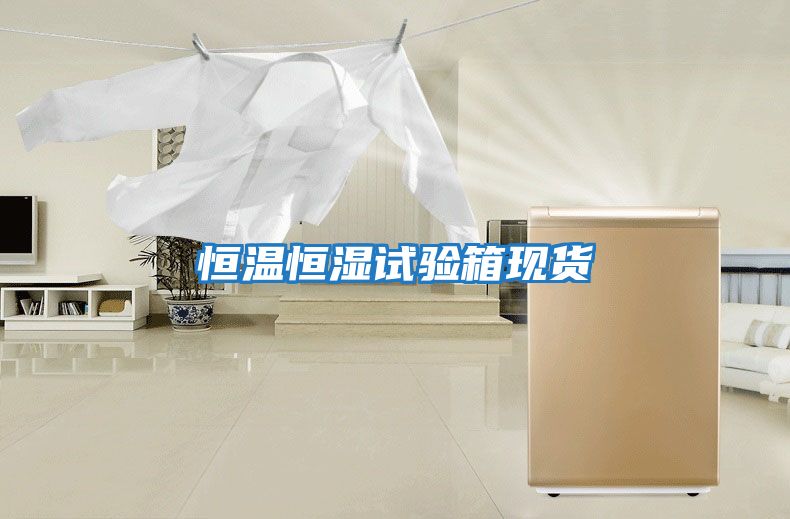 恒溫恒濕試驗箱現貨