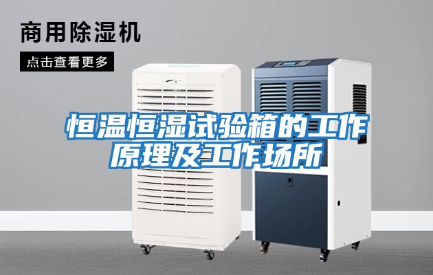 恒溫恒濕試驗箱的工作原理及工作場(chǎng)所