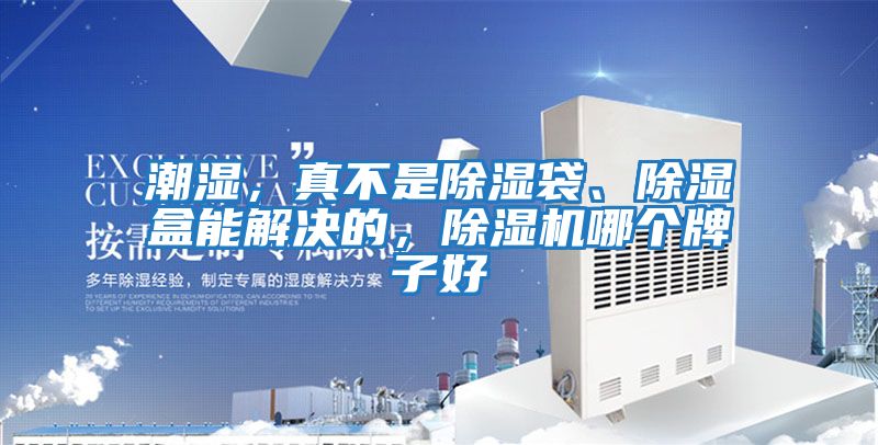 潮濕，真不是除濕袋、除濕盒能解決的，除濕機哪個(gè)牌子好