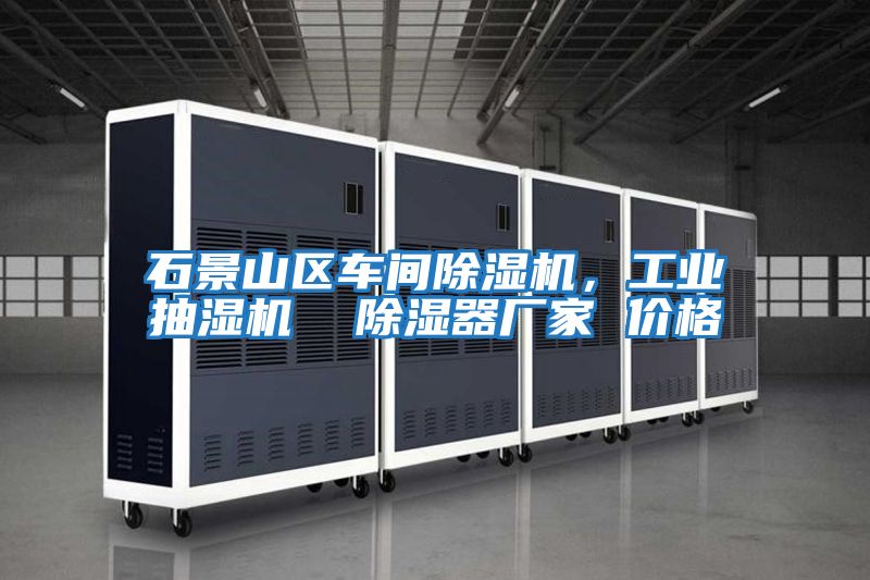 石景山區車(chē)間除濕機，工業(yè)抽濕機  除濕器廠(chǎng)家 價(jià)格