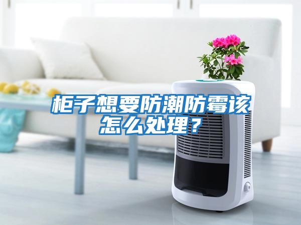 柜子想要防潮防霉該怎么處理？
