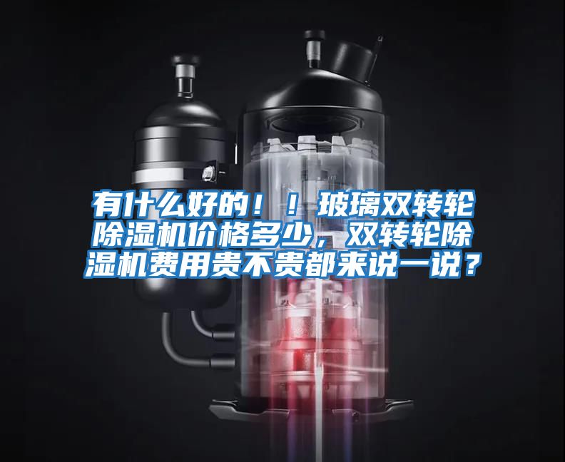 有什么好的??！玻璃雙轉輪除濕機價(jià)格多少，雙轉輪除濕機費用貴不貴都來(lái)說(shuō)一說(shuō)？