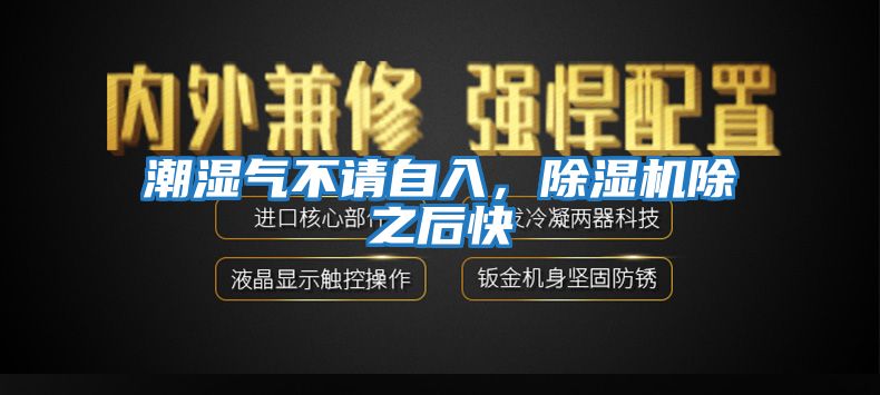 潮濕氣不請自入，除濕機除之后快