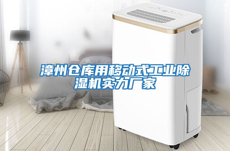 漳州倉庫用移動(dòng)式工業(yè)除濕機實(shí)力廠(chǎng)家