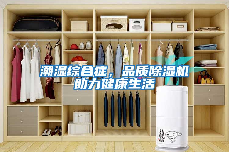 潮濕綜合癥，品質(zhì)除濕機助力健康生活