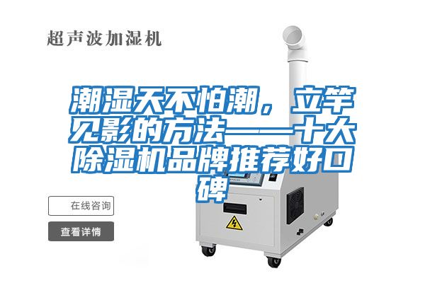 潮濕天不怕潮，立竿見(jiàn)影的方法——十大除濕機品牌推薦好口碑