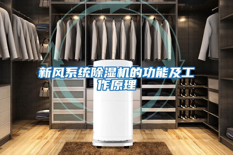 新風(fēng)系統除濕機的功能及工作原理