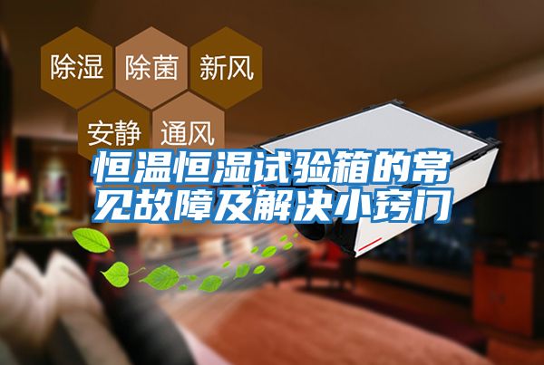恒溫恒濕試驗箱的常見(jiàn)故障及解決小竅門(mén)