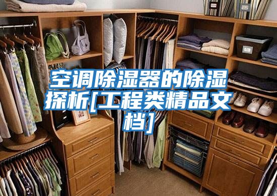 空調除濕器的除濕探析[工程類(lèi)精品文檔]