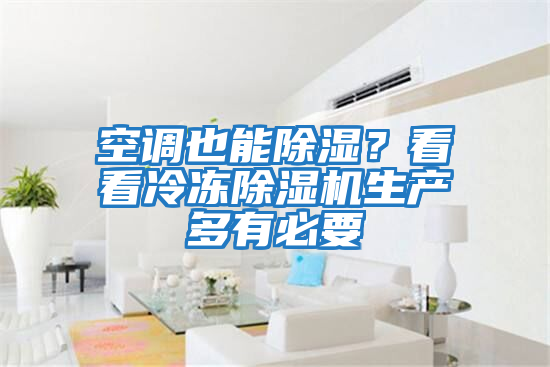 空調也能除濕？看看冷凍除濕機生產(chǎn)多有必要