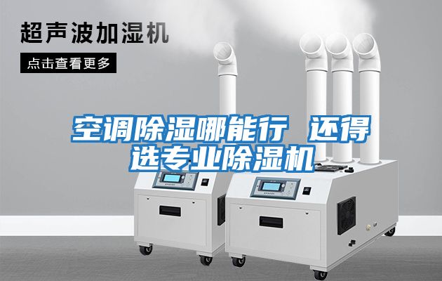 空調除濕哪能行 還得選專(zhuān)業(yè)除濕機