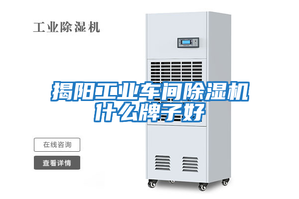 揭陽(yáng)工業(yè)車(chē)間除濕機什么牌子好