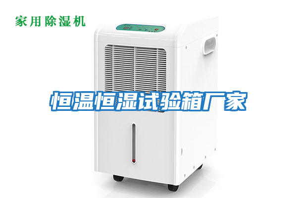 恒溫恒濕試驗箱廠(chǎng)家