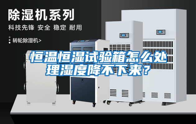 恒溫恒濕試驗箱怎么處理濕度降不下來(lái)？