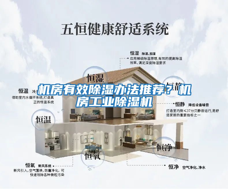 機房有效除濕辦法推薦？機房工業(yè)除濕機