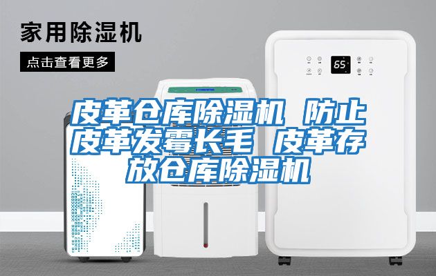 皮革倉庫除濕機 防止皮革發(fā)霉長(cháng)毛 皮革存放倉庫除濕機