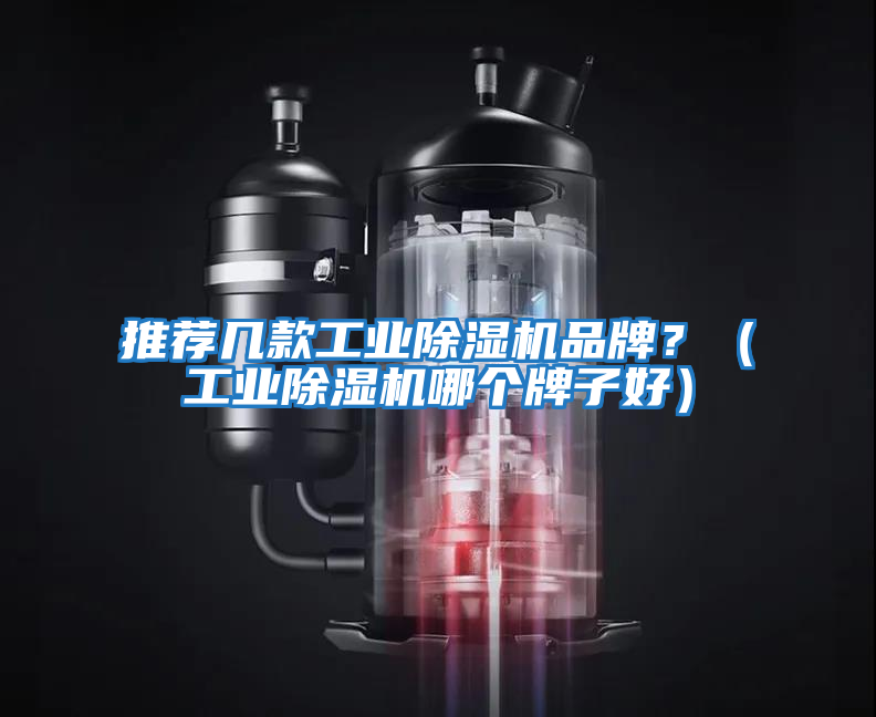 推薦幾款工業(yè)除濕機品牌？（工業(yè)除濕機哪個(gè)牌子好）