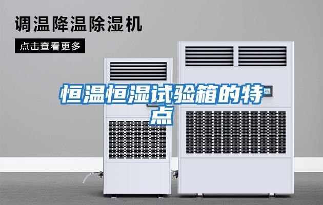 恒溫恒濕試驗箱的特點(diǎn)